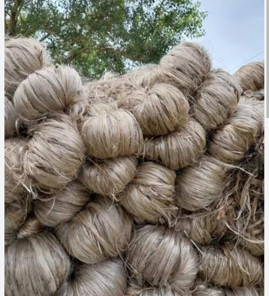 Jute Cultivation & Raw Materials image 2